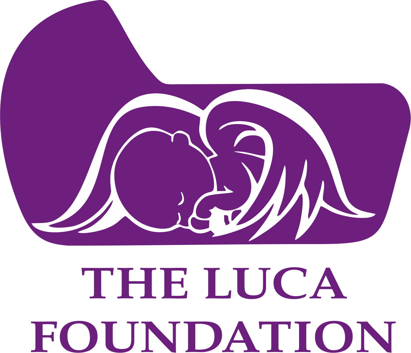 The Luca Foundation