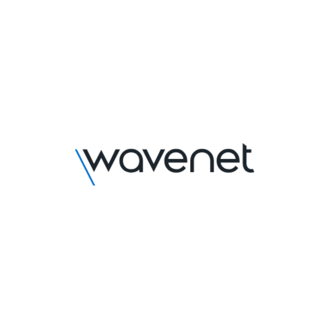 Wavenet Logo Gaucho